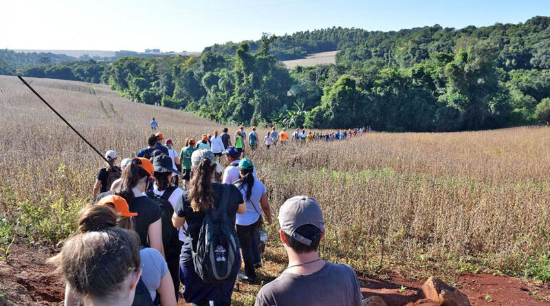 Caminhada na Natureza
