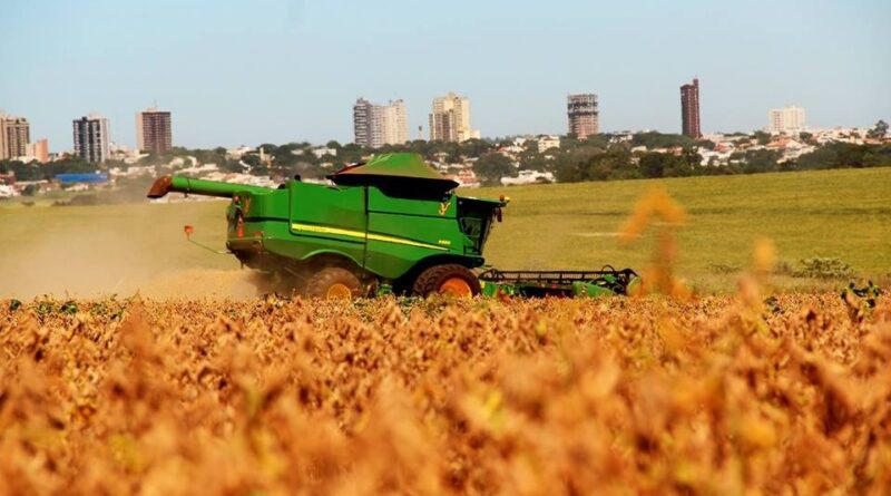 Colheita de soja, com vista de Campo Mourão ao fundo