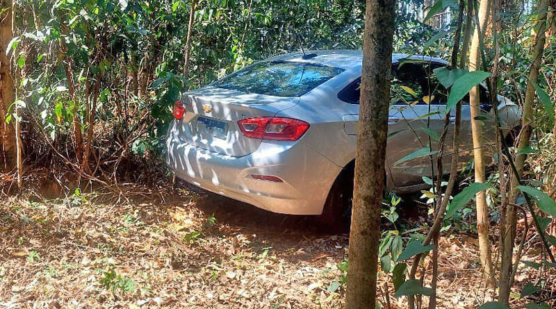 Chevrolet Cruze abandonado em plantação de eucaliptos
